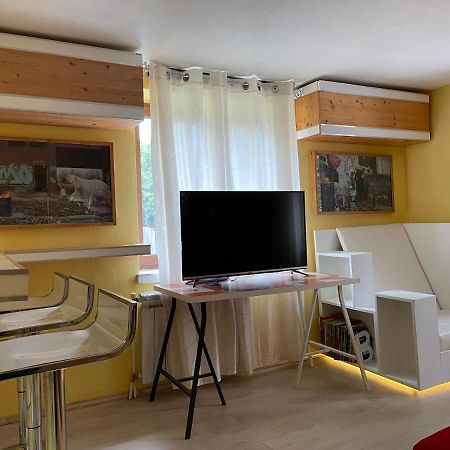 Direkt Am Main Villa Karlstadt Exteriör bild